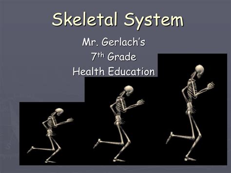 Ppt Skeletal System Powerpoint Presentation Id597183
