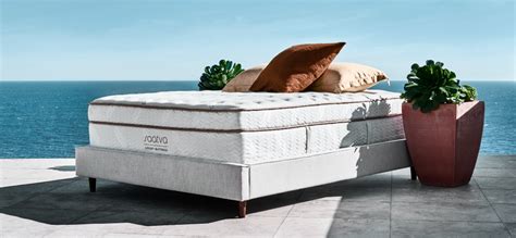 But what's the best mattress? Top 10 Best Places to Buy a Mattress in 2020