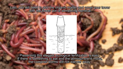 What You Need To Know About Building A Worm Tower Youtube