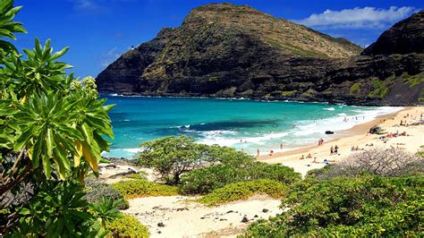 1080p Free Download Hawaii Parks And Beaches Beach Parks Oahu Hawaii Nature Trees Hd