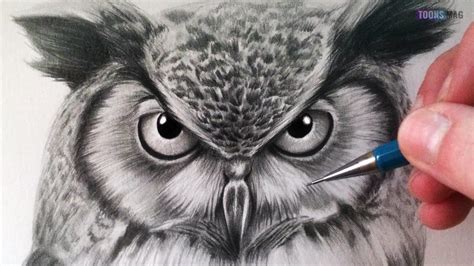 How To Draw A Cartoon Owl Face