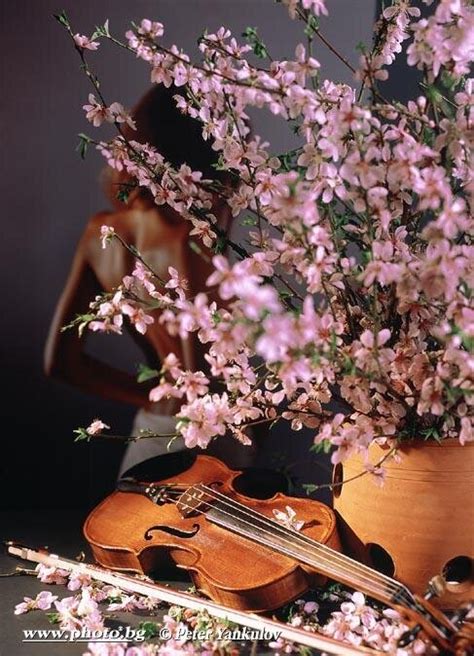 Nude Violinist Fine Art Photo Net