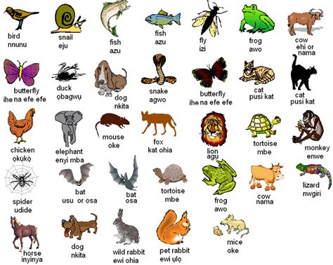 Igbo Names For Animals Learn English English Vocabulary Animals
