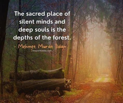 50 Forest Quotes Short Deep Wild Wood Quotes Captions