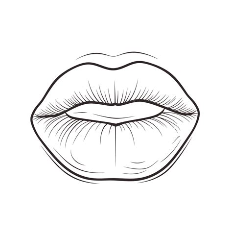 Lips Of Women Mouth Outline Drawing Isolated On White Background Sketch Vector Female Lips