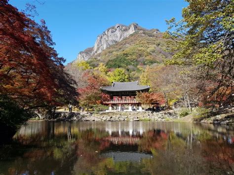 Hd00:24여름철에는 푸른물에 둘러싸인 아름답고 조용한 화창한 날, 분화구 호수 국립공원. 내장산국립공원, 올해 단풍 안전하게 즐기는 방법 제시 - 아시아 ...