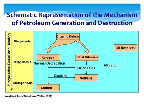 Hydrocarbon Generation And Migration