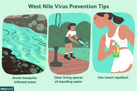 West Nile Virus Overview And More