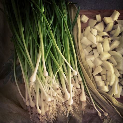 A Taste Of Spring Wild Onions Wild Onions Edible Wild Plants