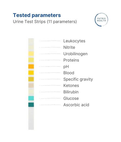 Urine Test Strips Parameters For Home Urine Analysis