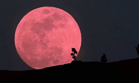 Superluna Rosa De Abril Origen Significado Y Por Qué Se Llama Así