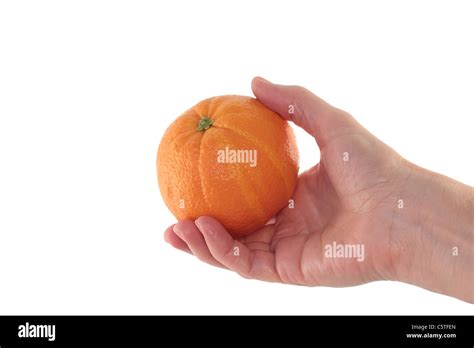 Hand Holding Orange Isolated On White Stock Photo Alamy
