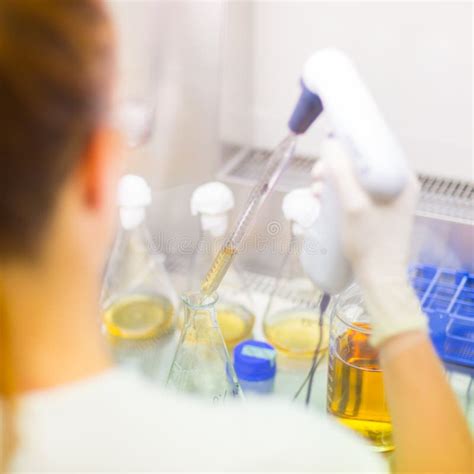 Young Scientist Pipetting Solution Stock Photo Image Of Bacteria