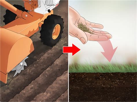 3 Ways To Get Rid Of Quack Grass Wikihow
