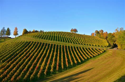 Free Images Nature Sky Vineyard Farm Hill Soil Agriculture