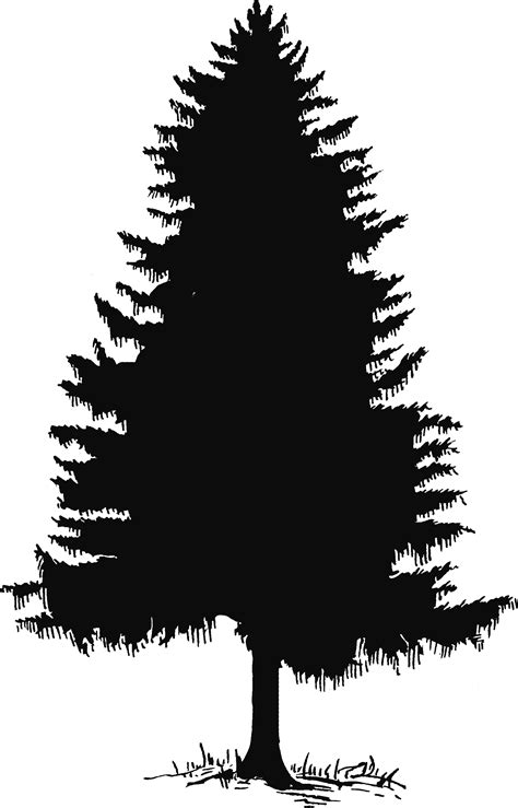 Vector Pine Tree - Cliparts.co