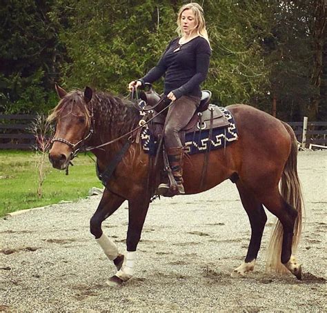 500,893 likes · 6,518 talking about this. Home - Heartland Quarter Horses