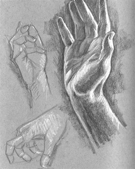100 Drawings Of Hands Quick Sketches And Hand Studies How To Draw