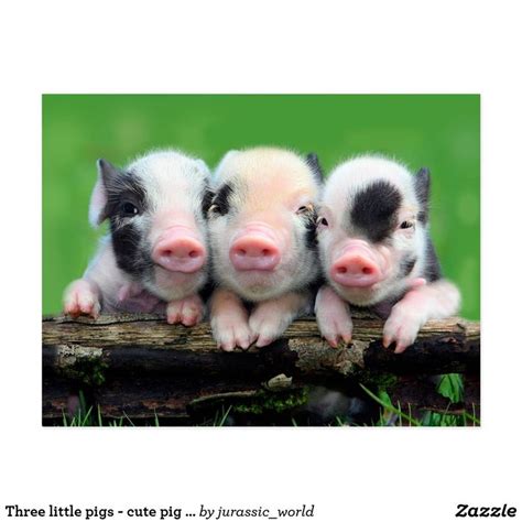 59 Jurassicworld Ts On Zazzle Cute Baby Pigs Baby Animals Baby