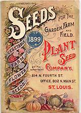 Photos of Seed Company Catalogs