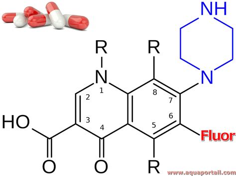 Fluoroquinolone Définition Et Explications