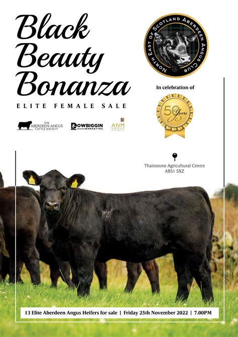Black Beauty Bonanza Elite Female Sale Aberdeen Angus Cattle Society
