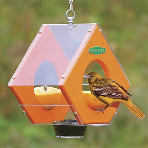 Check spelling or type a new query. Eco-Strong Oriole Feeder