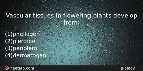 Vascular Tissues In Flowering Plants Develop From Neet Lab