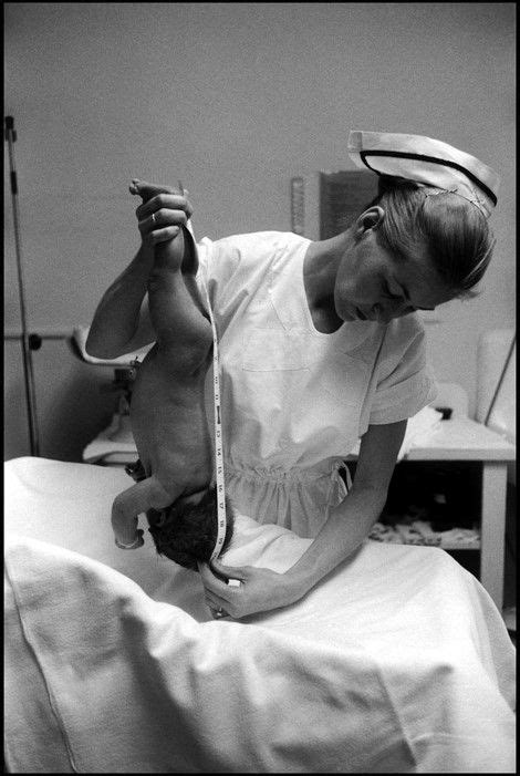 eve arnold her extraordinary life in pictures vintage nurse nurse photos nurse