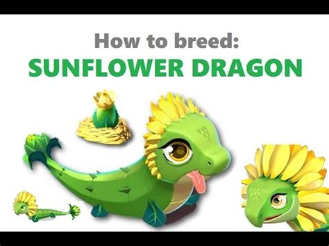Dragon Mania Legends Breeding A Sunflower Dragon Retybooster