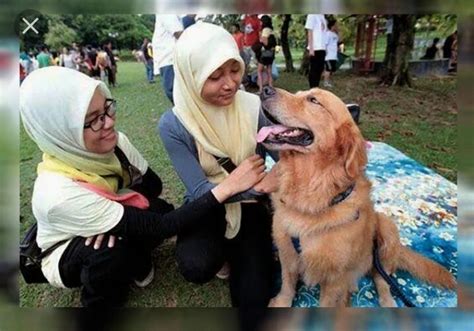 Hukum Memelihara Anjing Bagi Muslim