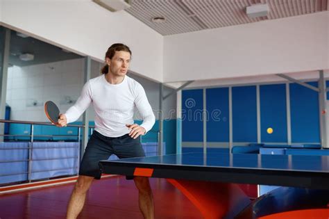 565 Ping Pong Club Stock Photos Free And Royalty Free Stock Photos From