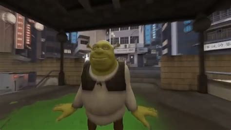 Tu Todo Meco Bailando Esta Rola En El 2011 Shrek Dancing Meme Youtube