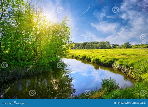 Bend Of River With Green Trees And Meadow On Shore Stock Photo Image