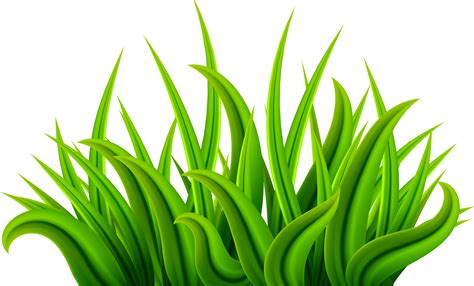 Lush Green Grass Shape Clipart