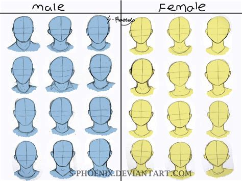 Cartoon Face Shapes Drawing Face Shapes Anime Face Shapes Face Shapes