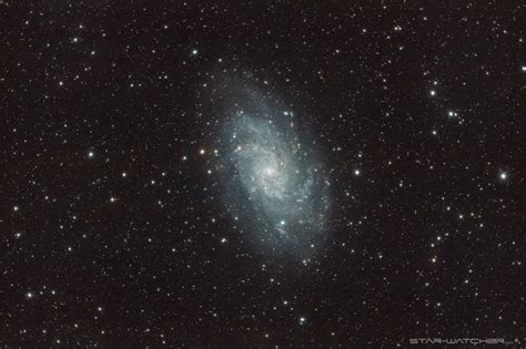 M33 Triangulum Galaxy Star Watcherch Dslr Astrophotography