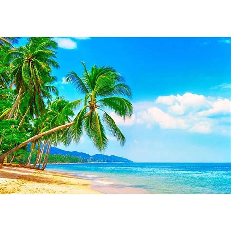 Buy Tropical Beach Backdrops For Photography Blue Sky