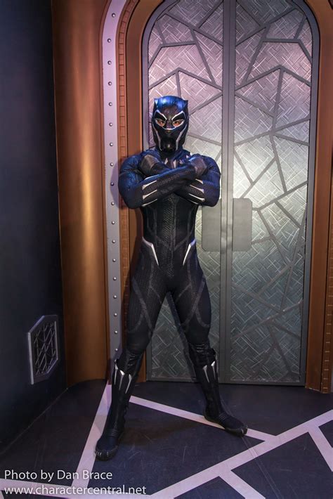 Black Panther At Disney Character Central