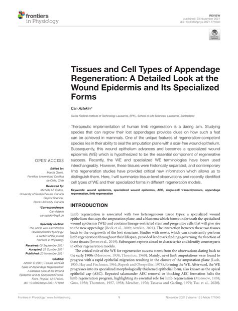 Pdf Tissues And Cell Types Of Appendage Regeneration A Detailed Look