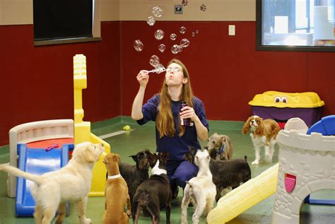 Blue Springs Animal Hospital & Pet Resort - Blue Springs, MO 64015