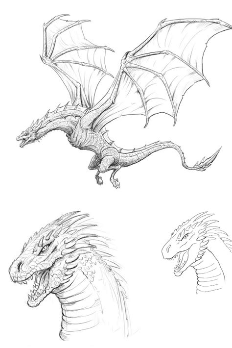 Sketchbook paper and pencils autodesk sketchbook software wacom intuos draw tablet. How to Draw a Dragon, Step By Step and Easy to Follow Tutorial. | Dragon sketch, Easy dragon ...