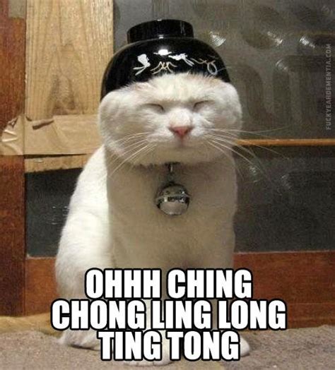 Pin By Alex Hendrickson On Funny Stuff Funny Cat Photos Asian Cat