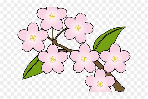 Cherry Blossom Clipart Vector Sakura Clipart Hd Png Download