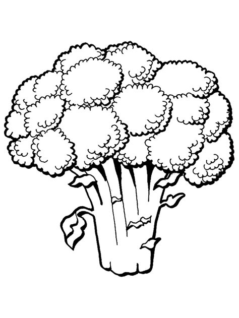 We collected all the various fruits and. Fruit and Vegetable Coloring Pages- PrimaryGames.com