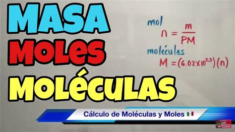 Cálculo De Moles Gramos Y Moléculas Youtube