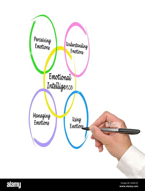 Diagram Of Emotional Intelligence Stock Photo Alamy