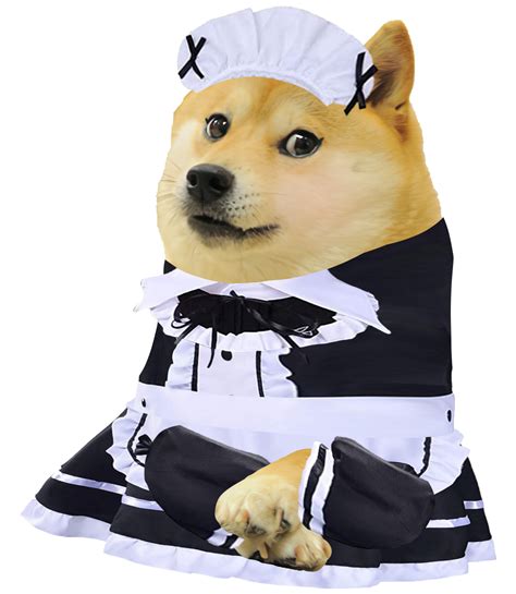 Le Doge In Maid Dress Has Unfortunately Arrived Rdogelore Ironic