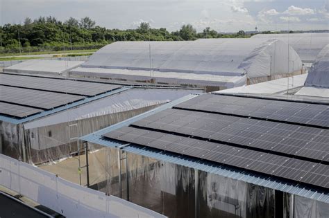Singapore Inaugurates New Floating Solar Farm To Meet Energy Needs