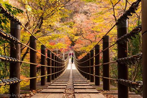 Autumn Foliage In Japan Spots In The City And Perfect Day Trips Aptsjp